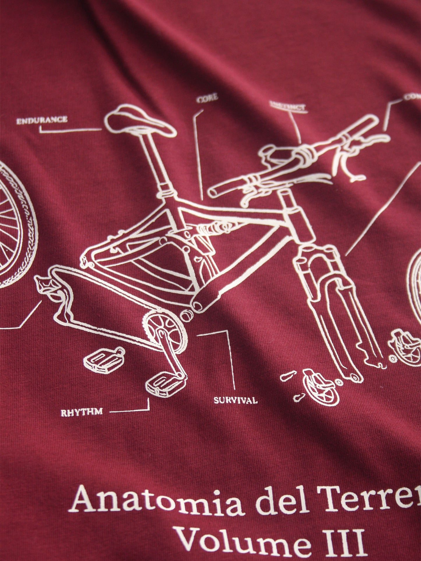 Anatomia del Terreno - MTB